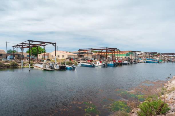 La Casa Tranquilia Chez Vero Et Jj Studio A Marseillan Dış mekan fotoğraf