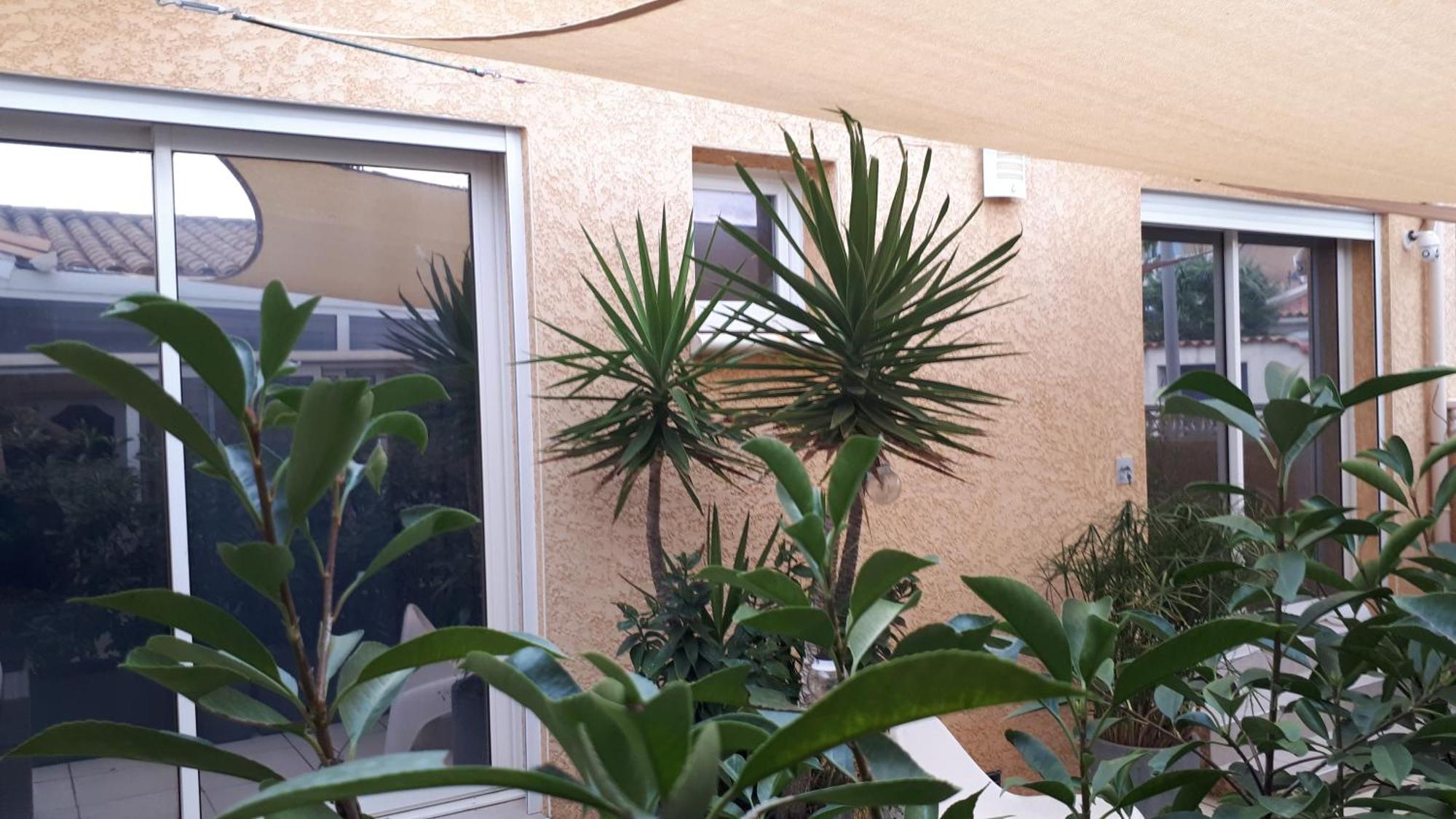 La Casa Tranquilia Chez Vero Et Jj Studio A Marseillan Dış mekan fotoğraf