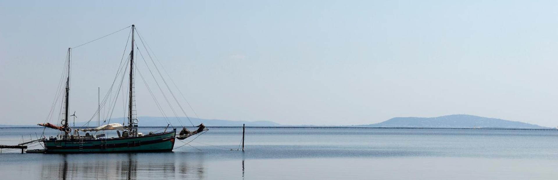 La Casa Tranquilia Chez Vero Et Jj Studio A Marseillan Dış mekan fotoğraf